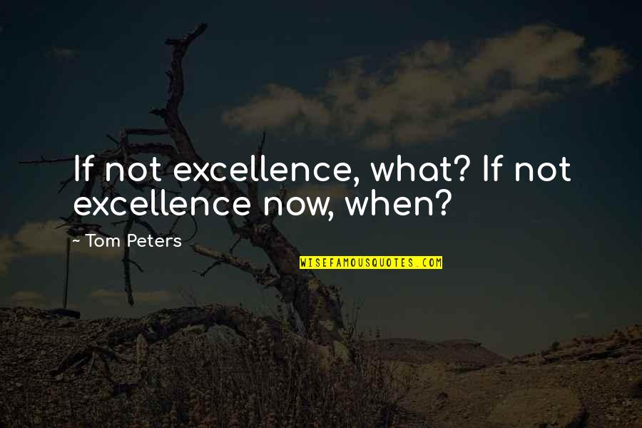 If Not Now Quotes By Tom Peters: If not excellence, what? If not excellence now,
