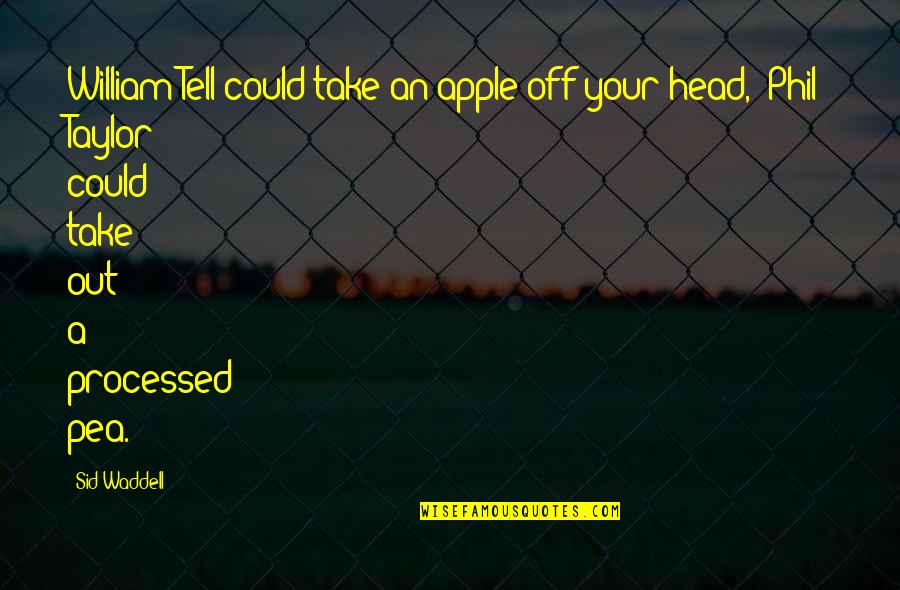 If Only I Could Tell You Quotes By Sid Waddell: William Tell could take an apple off your