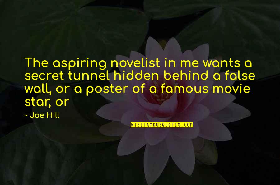 If Only Movie Famous Quotes By Joe Hill: The aspiring novelist in me wants a secret