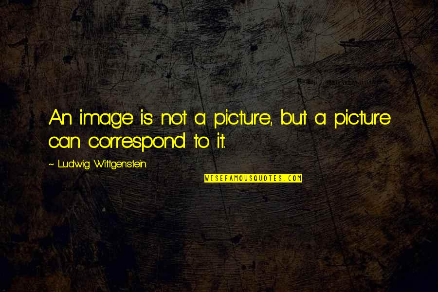 If Only Picture Quotes By Ludwig Wittgenstein: An image is not a picture, but a