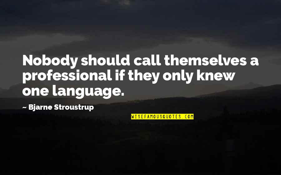 If Only They Knew Quotes By Bjarne Stroustrup: Nobody should call themselves a professional if they