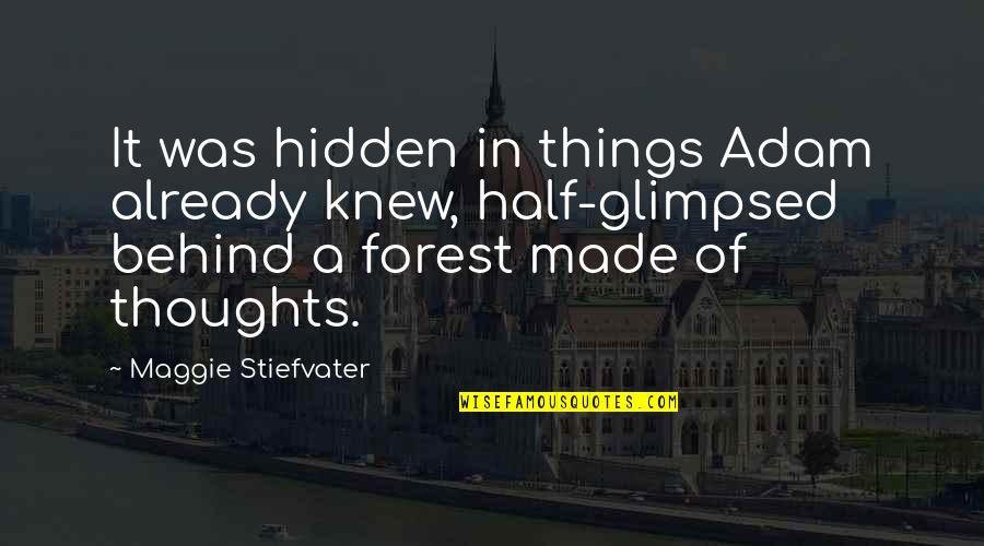 If Only They Knew The Truth Quotes By Maggie Stiefvater: It was hidden in things Adam already knew,