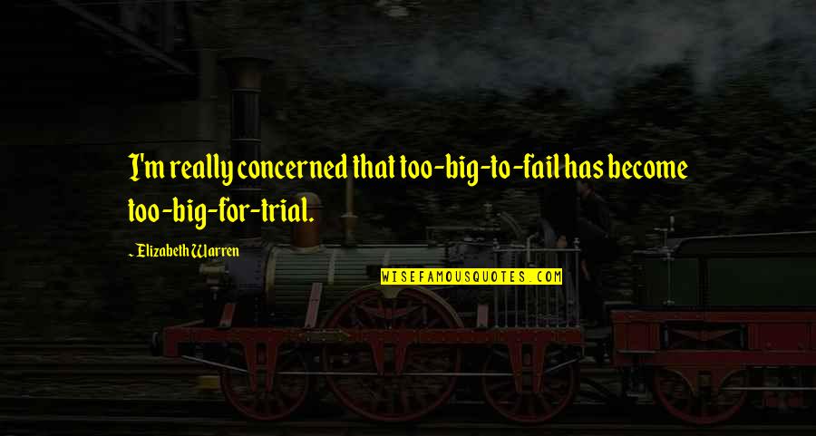 If She Flinches Quotes By Elizabeth Warren: I'm really concerned that too-big-to-fail has become too-big-for-trial.