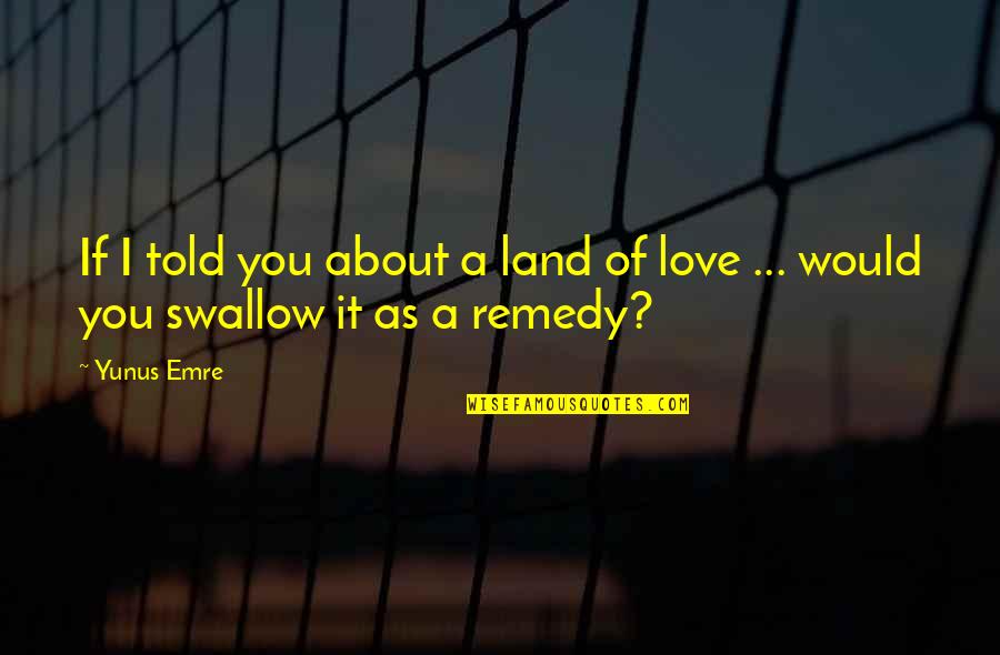 If The Shoe Fits Wear It Quotes By Yunus Emre: If I told you about a land of
