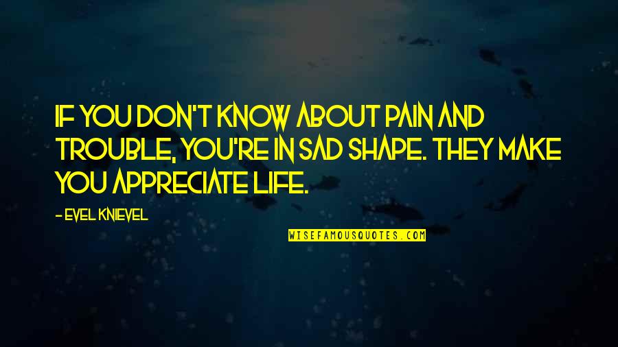 If They Don't Appreciate You Quotes By Evel Knievel: If you don't know about pain and trouble,