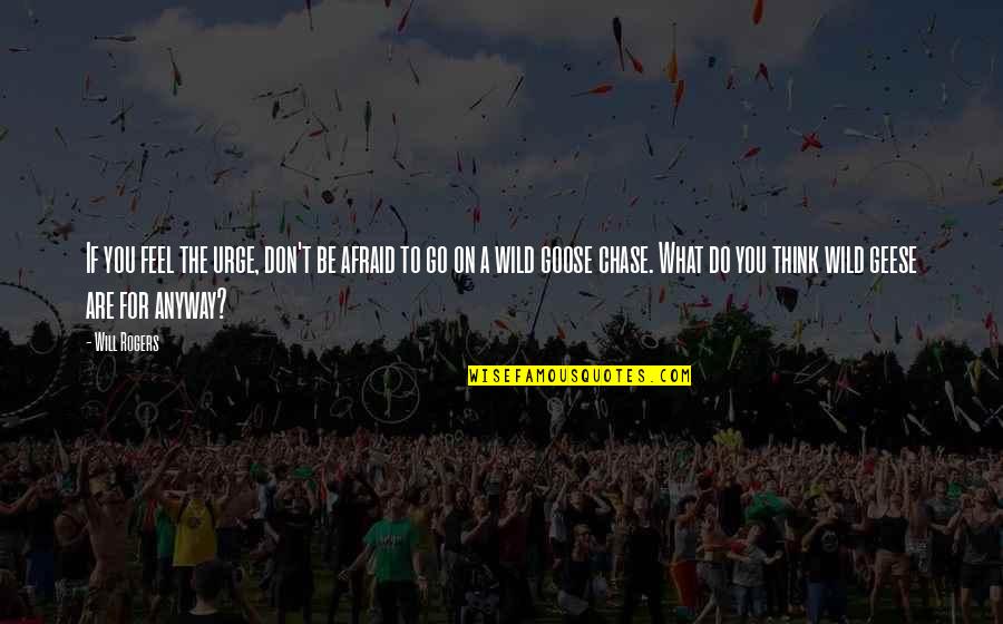 If They Don't Chase You Quotes By Will Rogers: If you feel the urge, don't be afraid