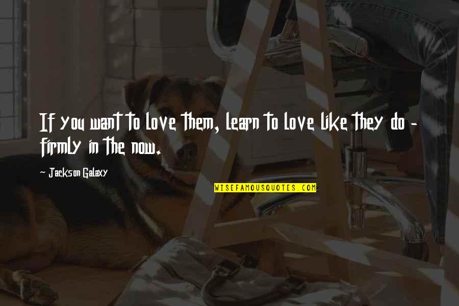 If They Love You Quotes By Jackson Galaxy: If you want to love them, learn to
