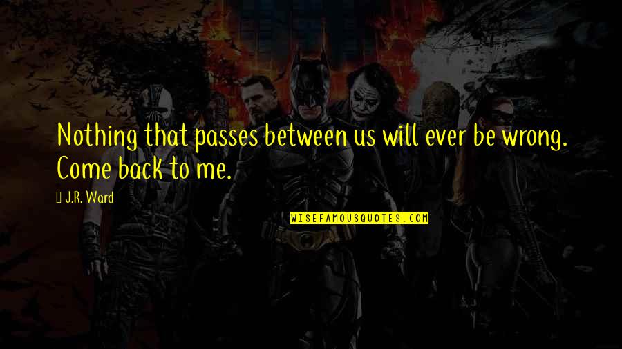 If They Love You They Will Come Back Quotes By J.R. Ward: Nothing that passes between us will ever be