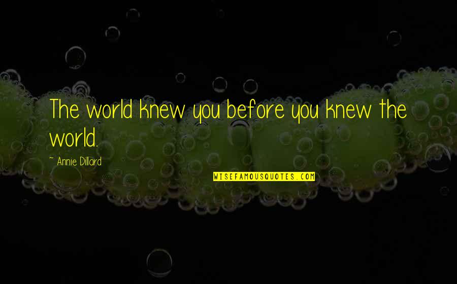 If They Only Knew Quotes By Annie Dillard: The world knew you before you knew the