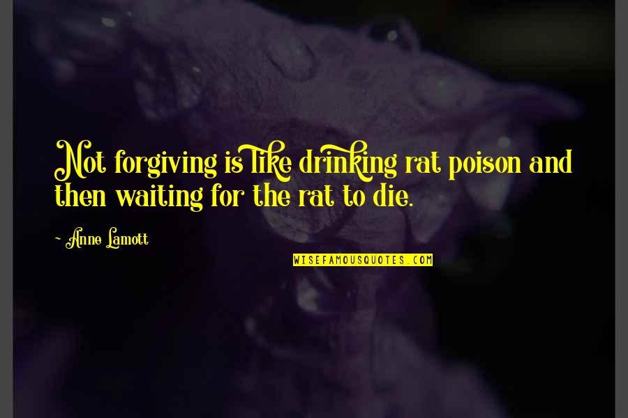If U Die Quotes By Anne Lamott: Not forgiving is like drinking rat poison and