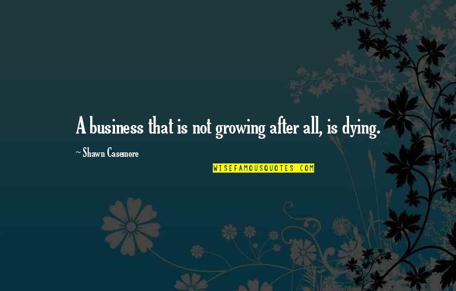 If We Are Not Growing We Are Dying Quotes By Shawn Casemore: A business that is not growing after all,