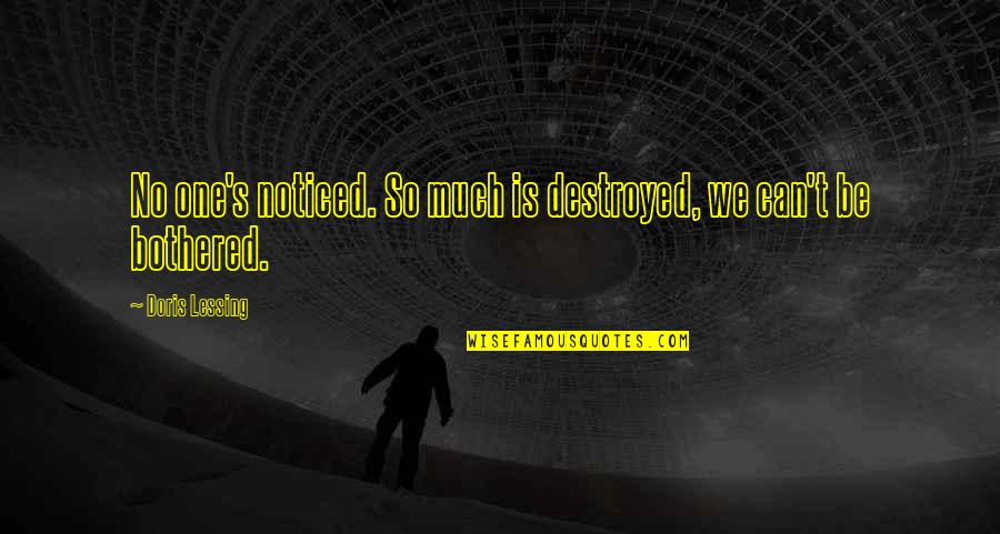 If You Can't Be Bothered Quotes By Doris Lessing: No one's noticed. So much is destroyed, we