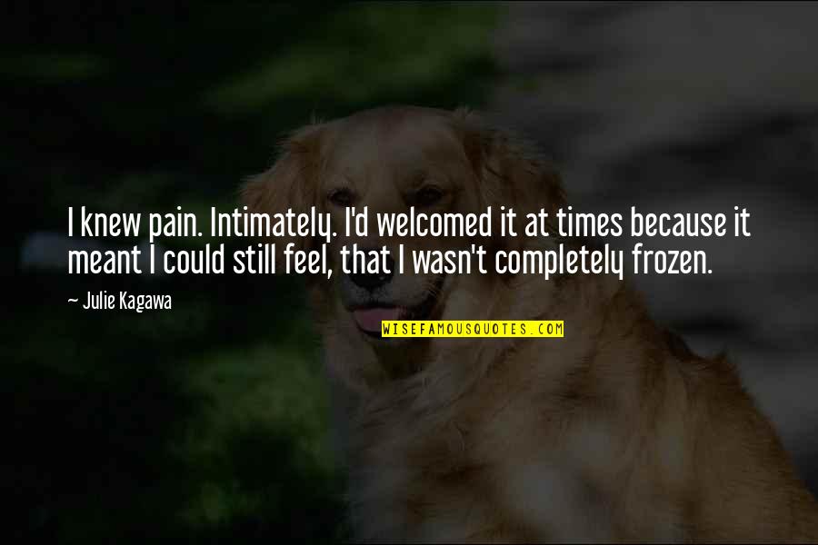 If You Could Feel My Pain Quotes By Julie Kagawa: I knew pain. Intimately. I'd welcomed it at