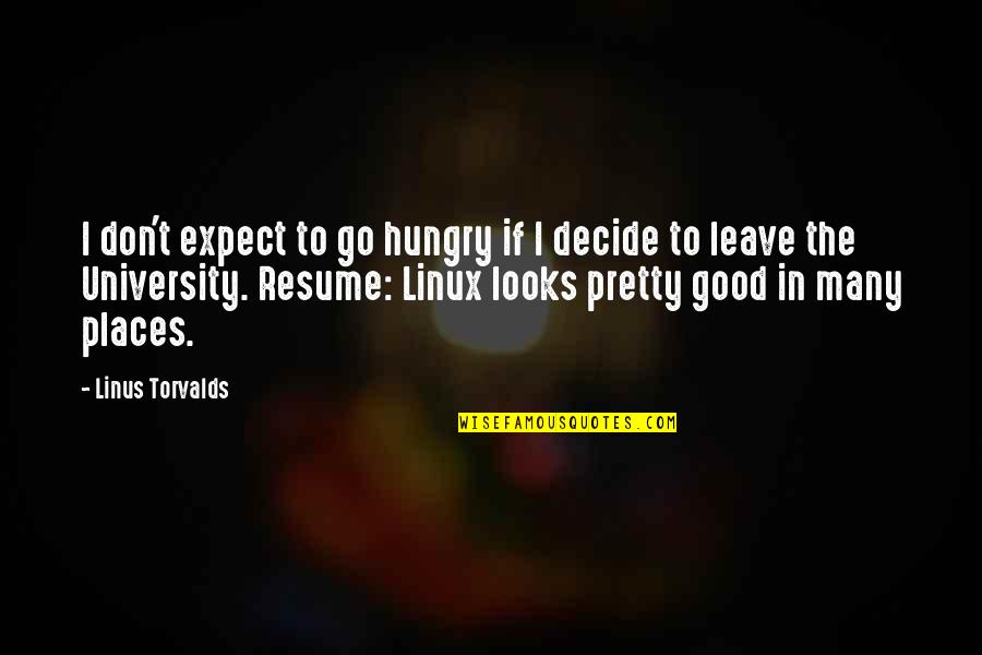 If You Decide To Leave Quotes By Linus Torvalds: I don't expect to go hungry if I