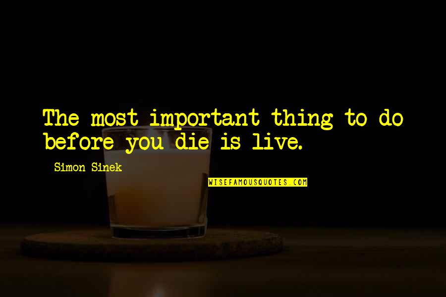 If You Die Before You Die Quotes By Simon Sinek: The most important thing to do before you