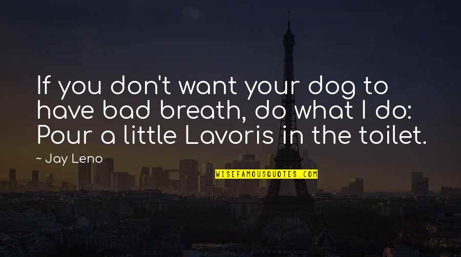 If You Do Bad Quotes By Jay Leno: If you don't want your dog to have