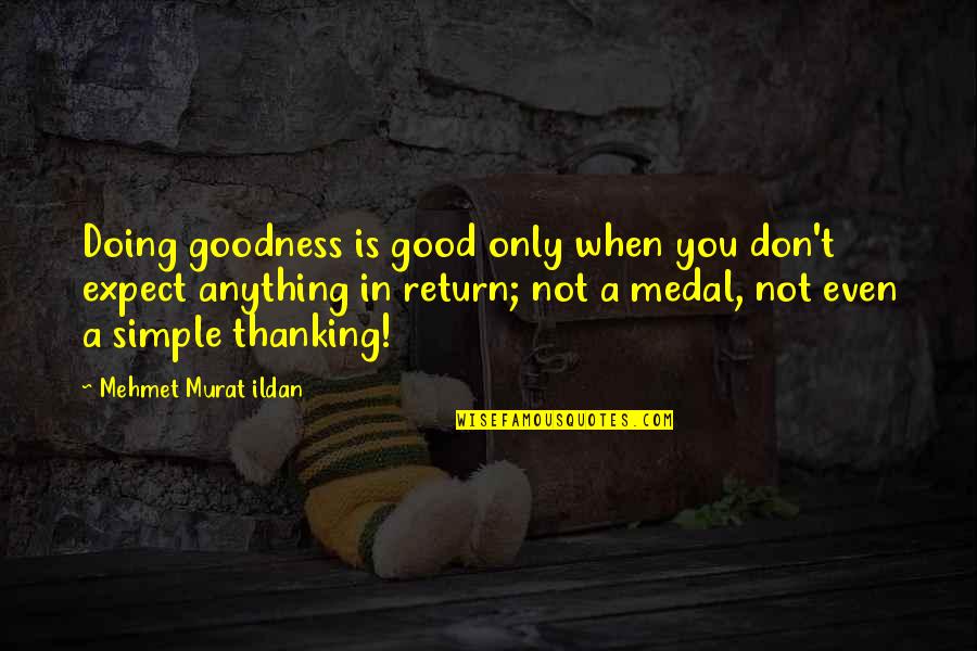 If You Don't Expect Anything Quotes By Mehmet Murat Ildan: Doing goodness is good only when you don't
