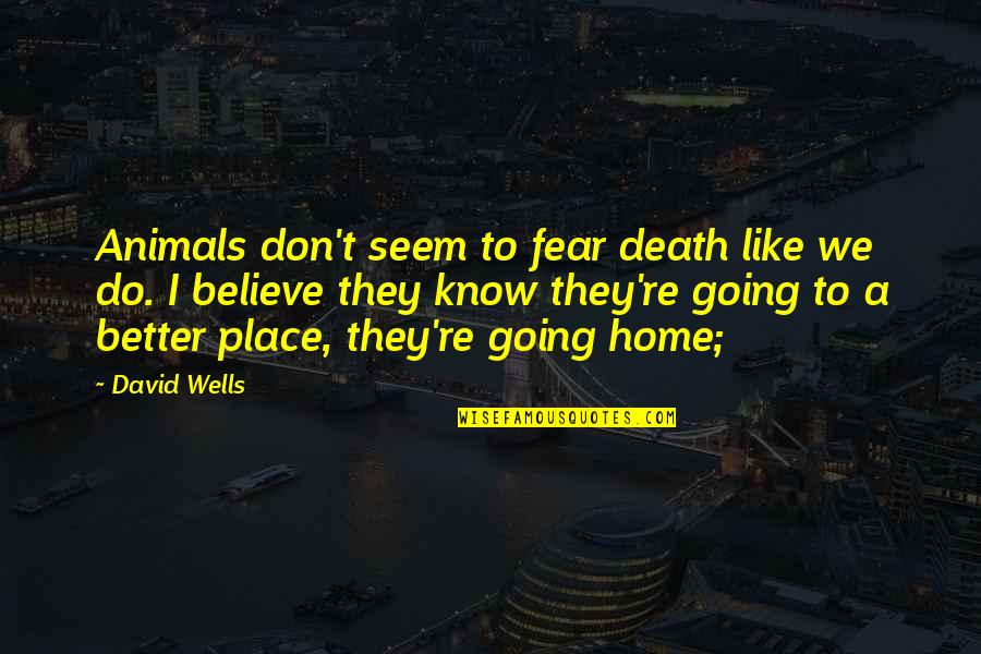 If You Don't Like Animals Quotes By David Wells: Animals don't seem to fear death like we If You Don't Like Animals Quotes By David Wells: Animals don't seem to fear death like we