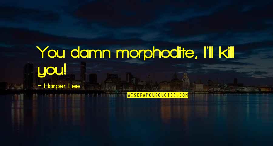 If You Don't Love Me Set Me Free Quotes By Harper Lee: You damn morphodite, I'll kill you!