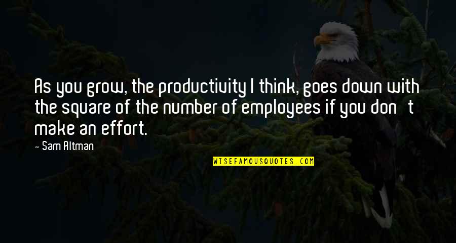 If You Don't Make The Effort Quotes By Sam Altman: As you grow, the productivity I think, goes