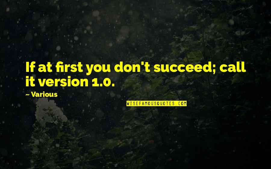 If You Don't Succeed Quotes By Various: If at first you don't succeed; call it