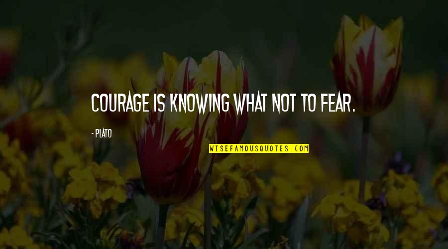 If You Dont Text Me I Understand Quotes By Plato: Courage is knowing what not to fear.