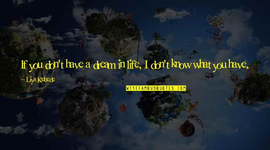 If You Dream It Quotes By Liya Kebede: If you don't have a dream in life,