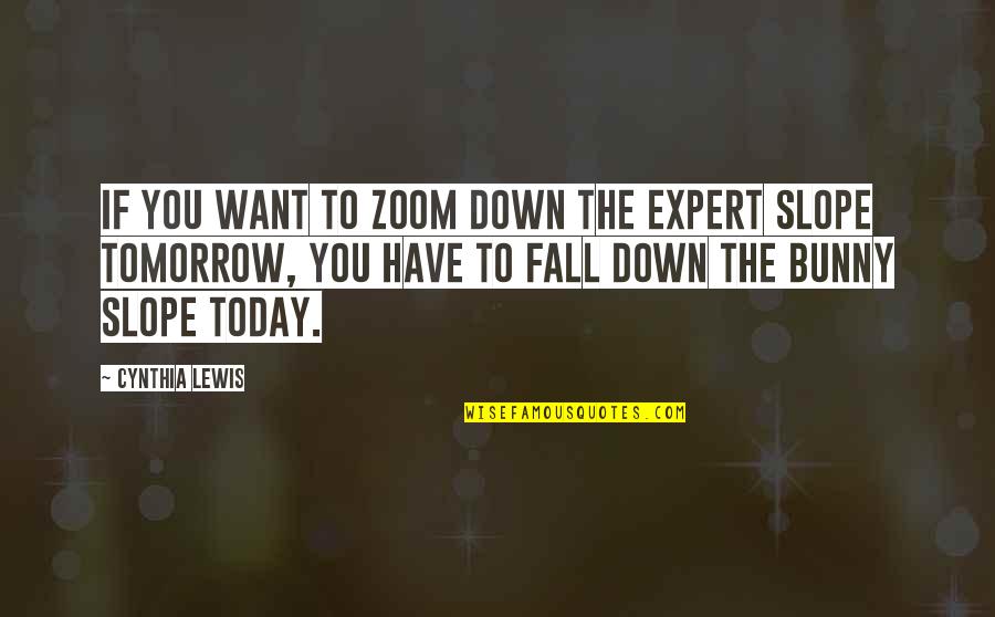 If You Fall Down Quotes By Cynthia Lewis: If you want to zoom down the expert