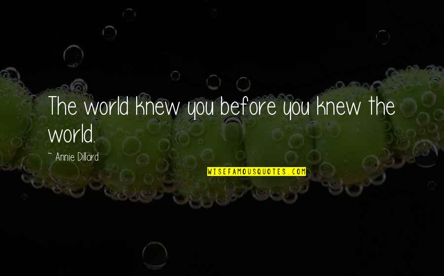 If You Just Only Knew Quotes By Annie Dillard: The world knew you before you knew the