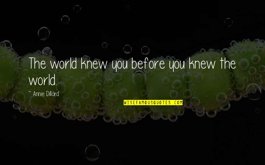 If You Just Only Knew Quotes By Annie Dillard: The world knew you before you knew the If You Just Only Knew Quotes By Annie Dillard: The world knew you before you knew the