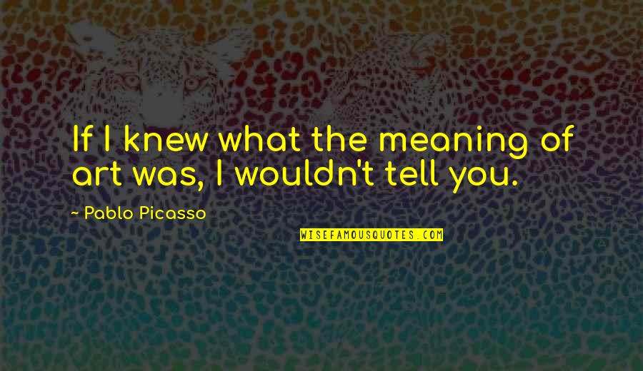 If You Knew What I Knew Quotes By Pablo Picasso: If I knew what the meaning of art