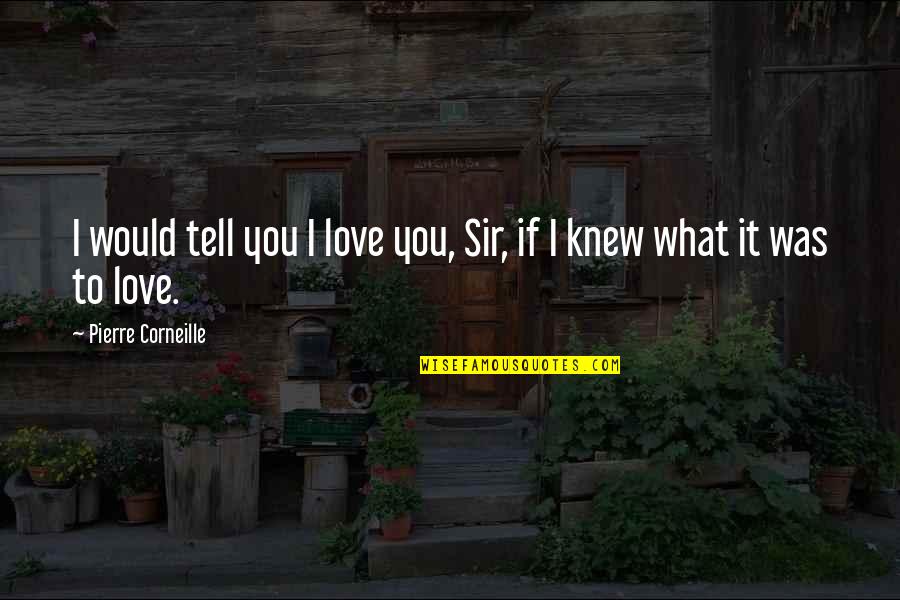 If You Knew What I Knew Quotes By Pierre Corneille: I would tell you I love you, Sir,