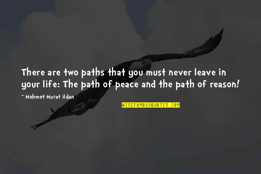 If You Leave Without A Reason Quotes By Mehmet Murat Ildan: There are two paths that you must never