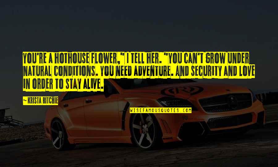 If You Love Her Tell Her Quotes By Krista Ritchie: You're a hothouse flower," I tell her. "You If You Love Her Tell Her Quotes By Krista Ritchie: You're a hothouse flower," I tell her. "You