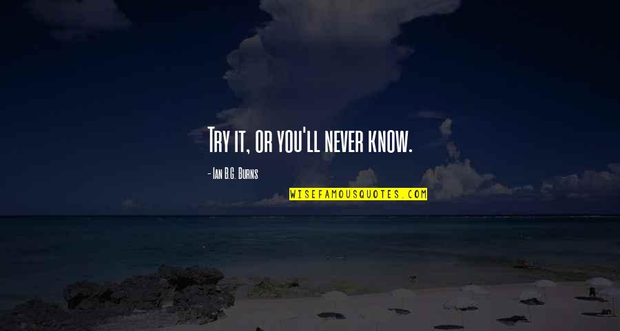 If You Never Try Then You'll Never Know Quotes By Ian B.G. Burns: Try it, or you'll never know.