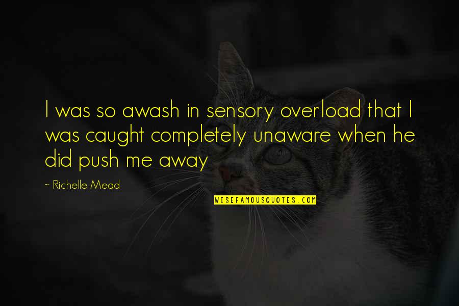 If You Push Me Away Quotes By Richelle Mead: I was so awash in sensory overload that