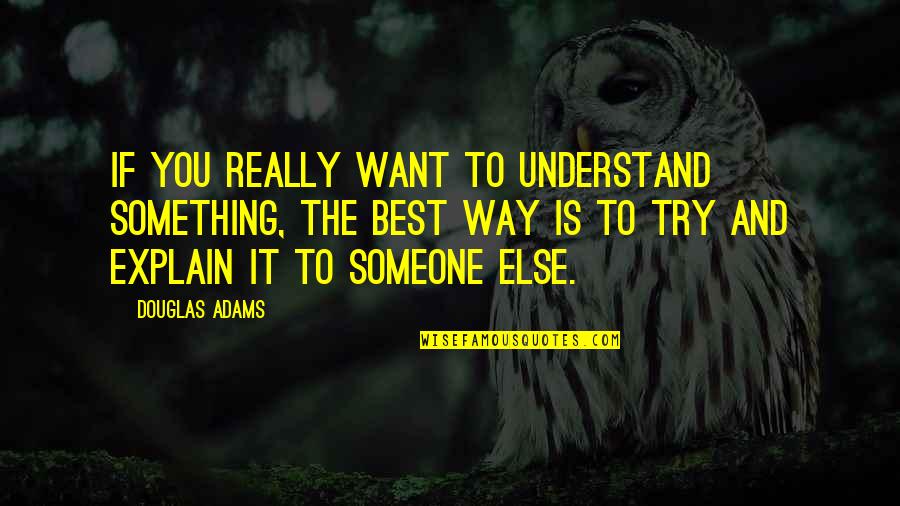 If You Really Want Someone Quotes By Douglas Adams: If you really want to understand something, the