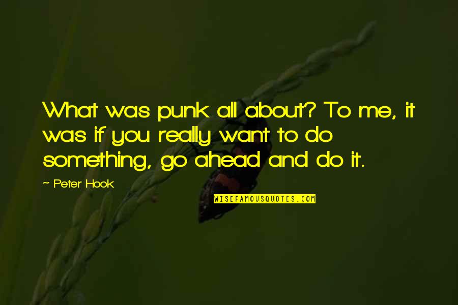 If You Really Want Something Quotes By Peter Hook: What was punk all about? To me, it