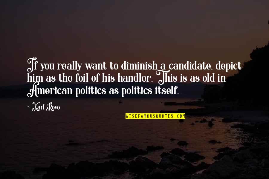 If You Really Want To Quotes By Karl Rove: If you really want to diminish a candidate,