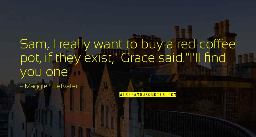 If You Really Want To Quotes By Maggie Stiefvater: Sam, I really want to buy a red