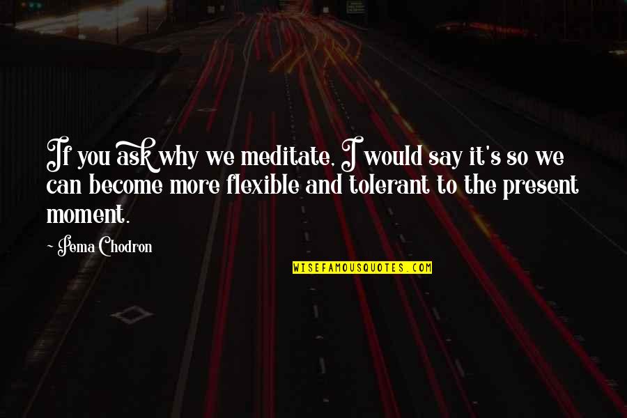 If You Say So Quotes By Pema Chodron: If you ask why we meditate, I would