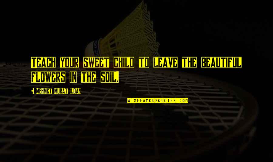 If You Teach A Child Quotes By Mehmet Murat Ildan: Teach your sweet child to leave the beautiful