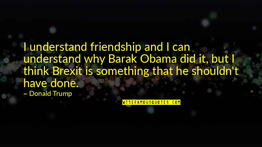 If You Think It Can Be Done Quotes By Donald Trump: I understand friendship and I can understand why