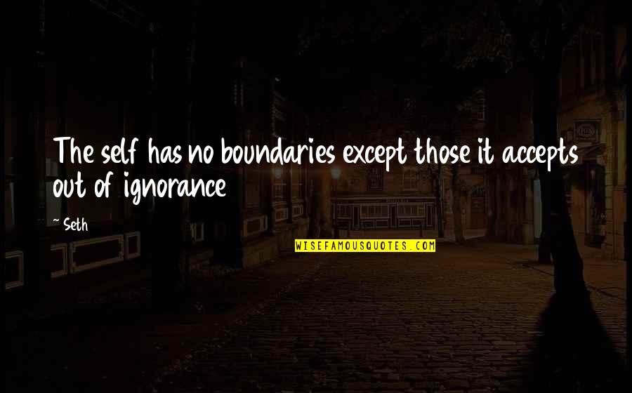 If You Wait For The Right Time Quotes By Seth: The self has no boundaries except those it
