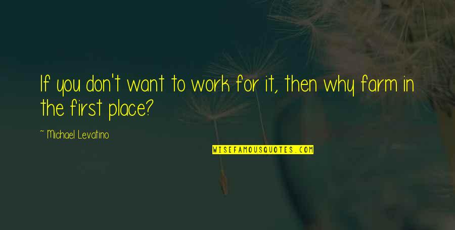 If You Want It To Work Quotes By Michael Levatino: If you don't want to work for it,