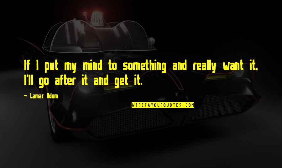 If You Want Something Go Get It Quotes By Lamar Odom: If I put my mind to something and