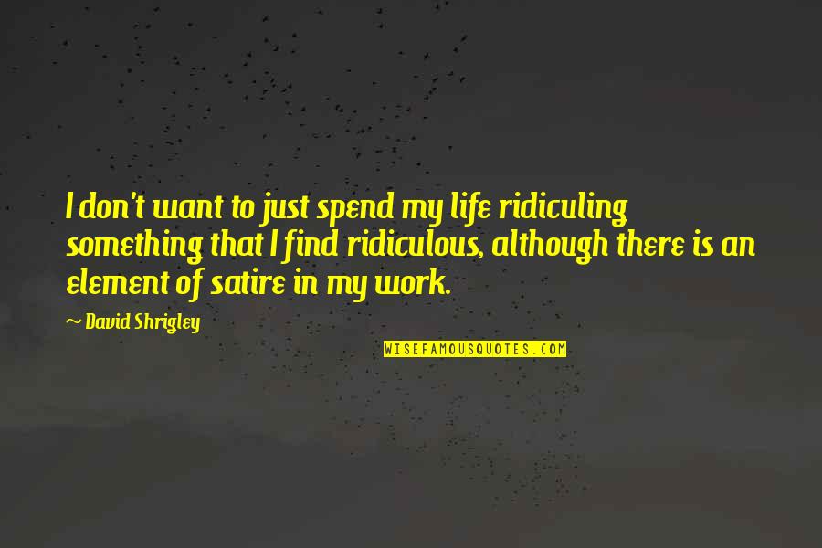 If You Want Something In Life Quotes By David Shrigley: I don't want to just spend my life