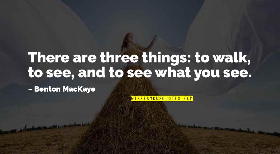 If You Want To Achieve Something Quotes By Benton MacKaye: There are three things: to walk, to see,