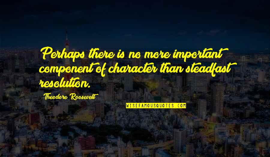 If You Want To Be Strong Learn To Fight Alone Quotes By Theodore Roosevelt: Perhaps there is no more important component of If You Want To Be Strong Learn To Fight Alone Quotes By Theodore Roosevelt: Perhaps there is no more important component of