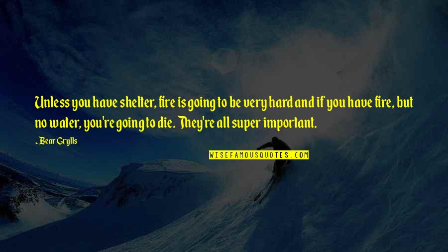 If You're Important Quotes By Bear Grylls: Unless you have shelter, fire is going to